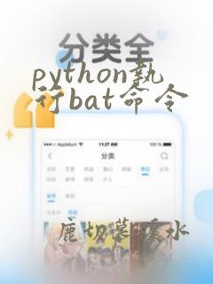 python执行bat命令
