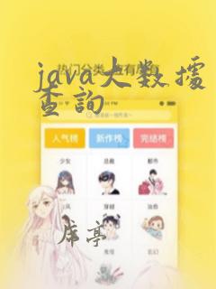 java大数据查询