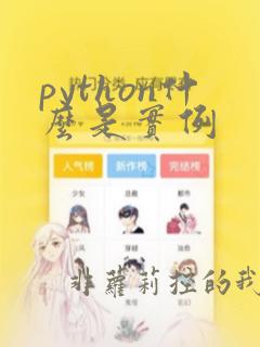 python什么是实例