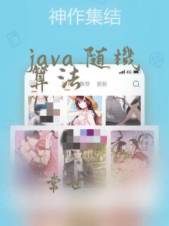 java 随机算法