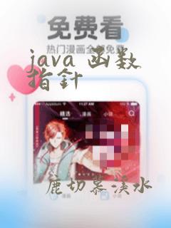 java 函数指针
