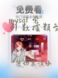 mysql 索引 数据类型