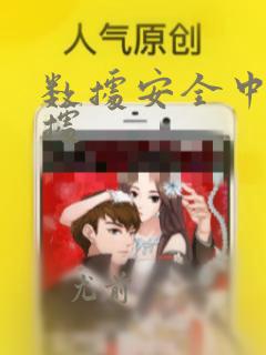 数据安全中的数据