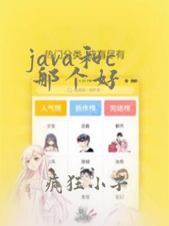 java和c  那个好