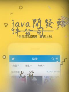 java开发软件公司
