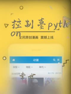 控制台python