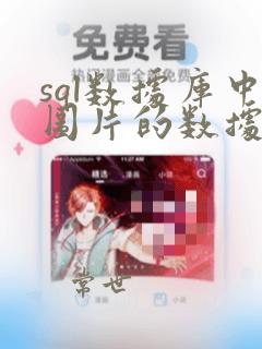 sql数据库中图片的数据类型