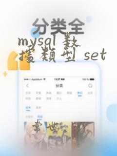 mysql 数据类型 set