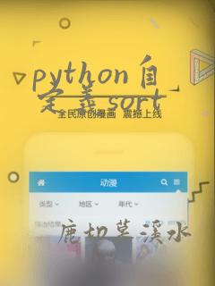 python自定义sort