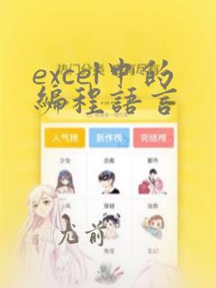 excel中的编程语言