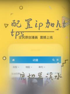 配置ip加https