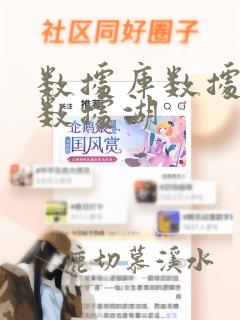 数据库数据仓库数据湖