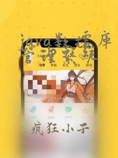 java数据库管理系统