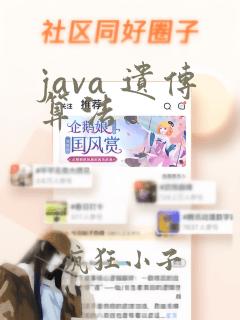 java 遗传算法