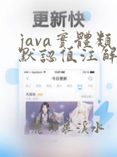 java实体类默认值注解