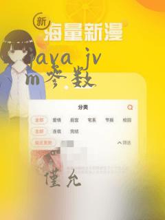 java jvm参数