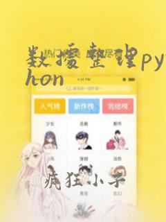 数据整理python