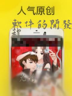 软件的开发与编程