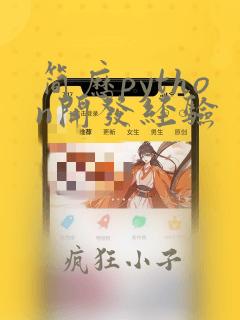 简历python开发经验