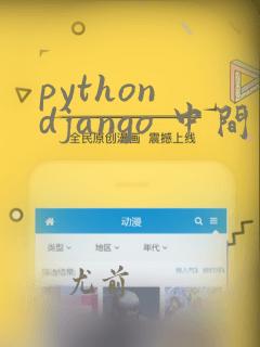 python django 中间件