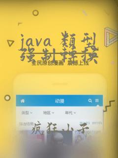 java 类型强制转换
