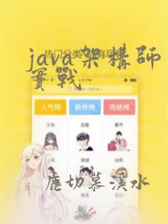 java架构师实战