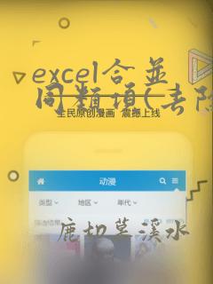 excel合并同类项(去除重复项)数据并求和