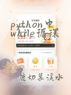 python中while循环