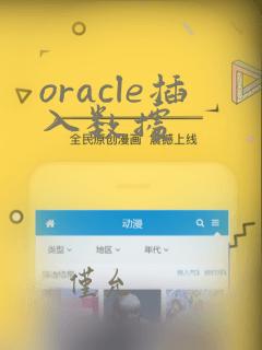 oracle插入数据