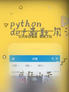 python def函数用法
