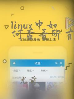 linux中如何查看所有java进程