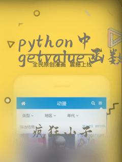 python中getvalue函数