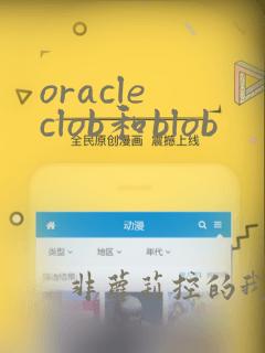 oracle clob和blob