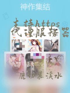 支持https代理服务器