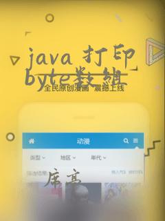 java 打印byte数组