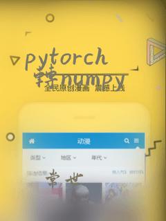 pytorch 转numpy