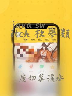 java switch 枚举类