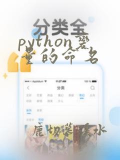 python变量的命名
