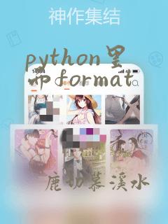 python里面format