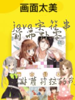 java字符串前面补零