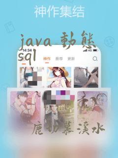 java 动态sql