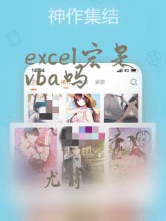 excel宏是vba吗