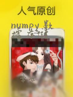 numpy 数据存储