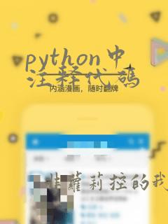 python中注释代码