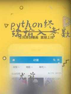 python终端输入参数