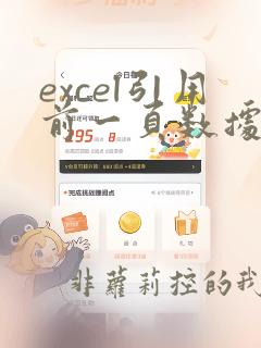 excel引用前一页数据