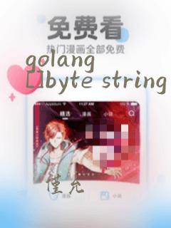 golang []byte string