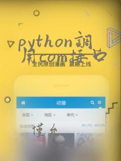 python调用com接口