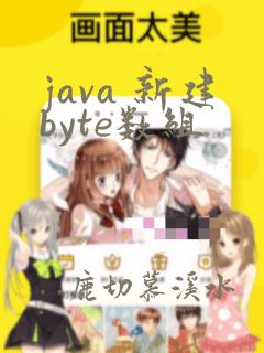 java 新建byte数组