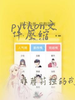 python文件压缩